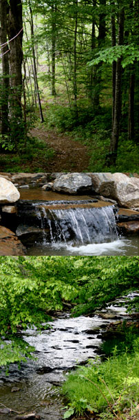 blue ridge mountains